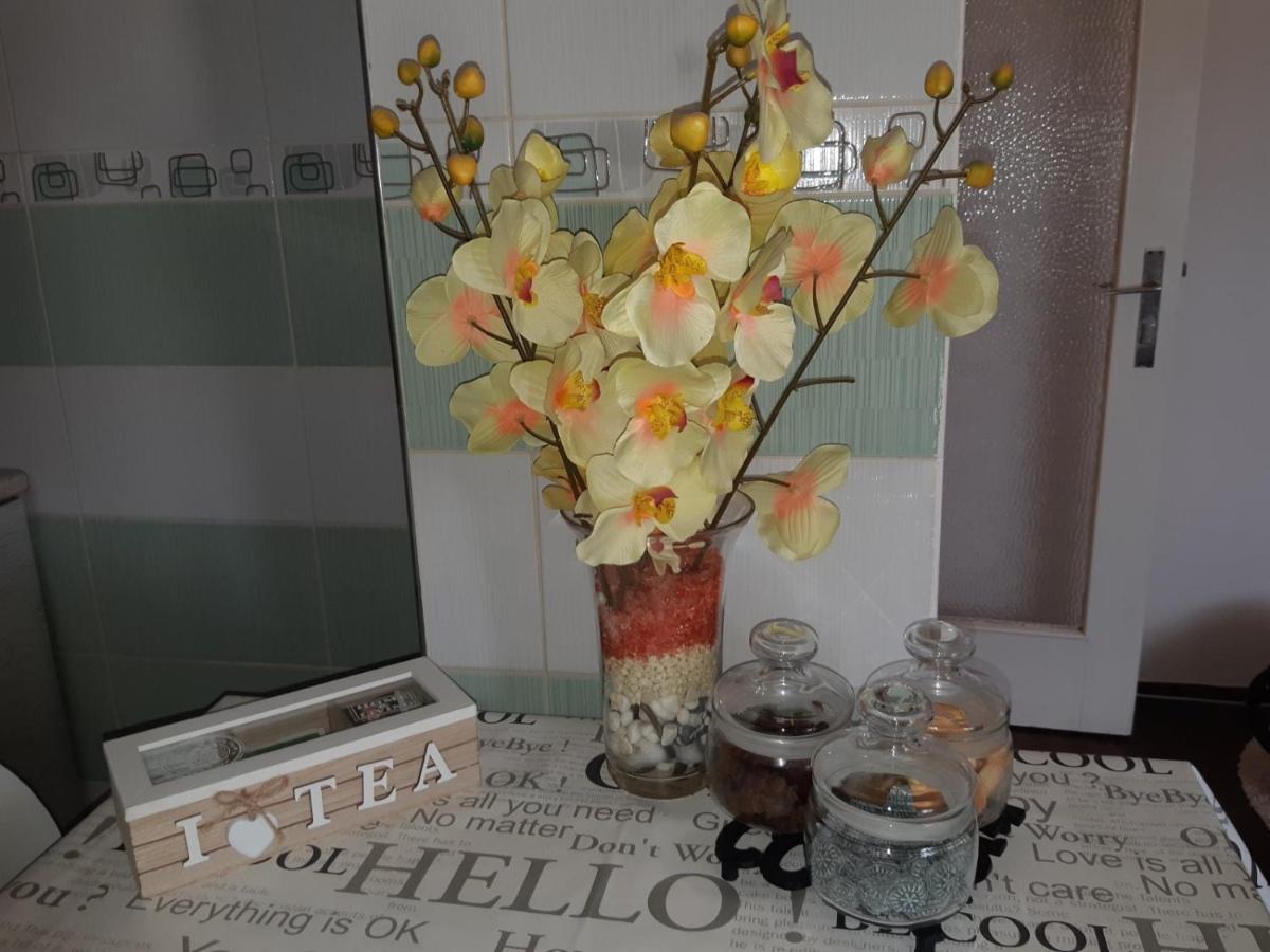 Sweet Home Danube Liman Apartment Novi Sad Eksteriør bilde